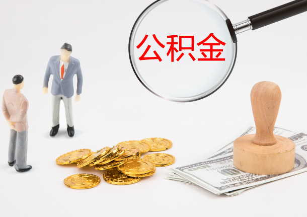 哈尔滨2025年政策调整对个人影响综合解析