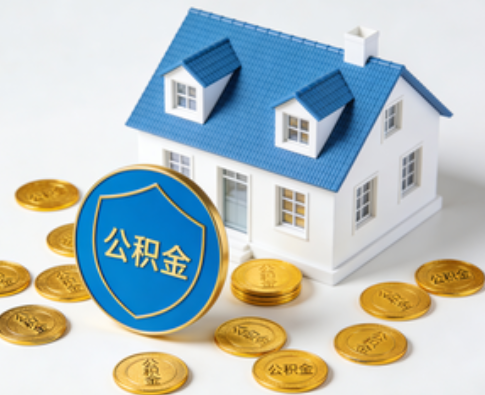 哈尔滨公积金资金使用边界详解：个人账户资金不得直接转借，但可通过合规途径支持家人